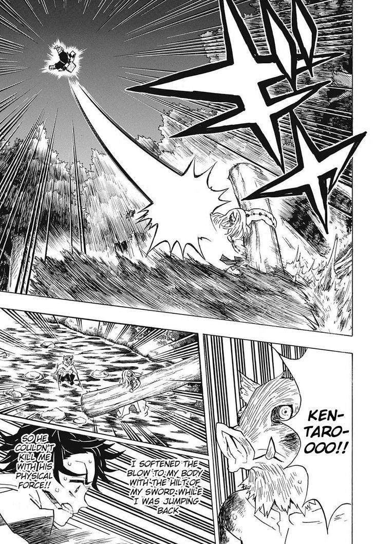 Kimetsu No Yaiba 35 13