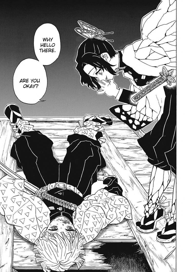 Kimetsu No Yaiba 35 17