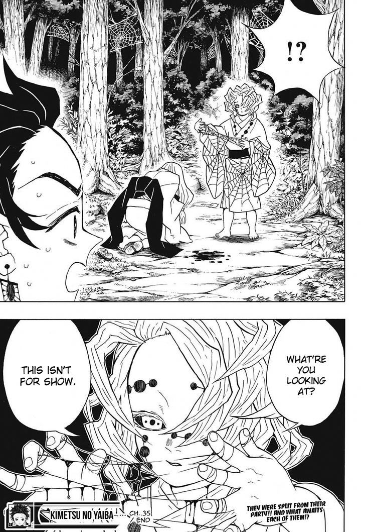 Kimetsu No Yaiba 35 19