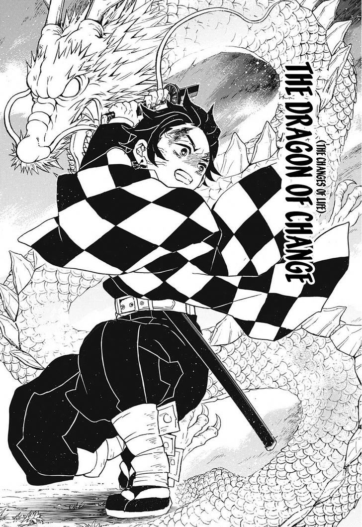 Kimetsu No Yaiba 39 12