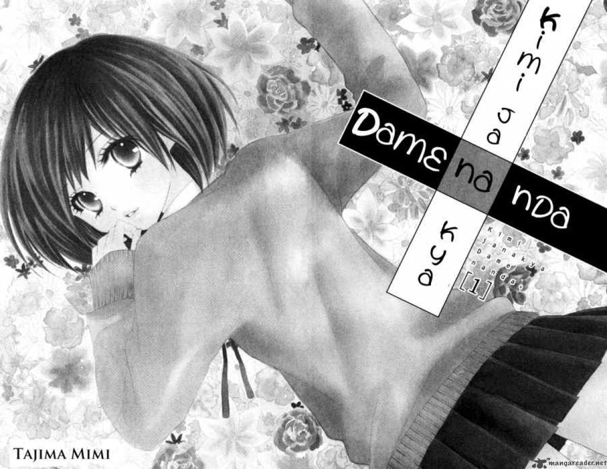 Kimi Ja Nakya Dame Nanda 1 6