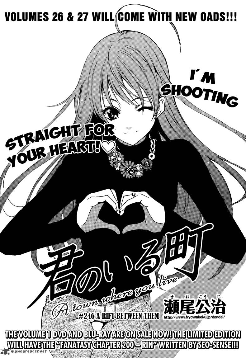 Kimi No Iru Machi 246 2