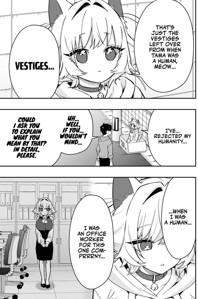 Kimi No Koto Ga Daidaidaidaidai Suki Na 100 Nin No Kanojo 141 5