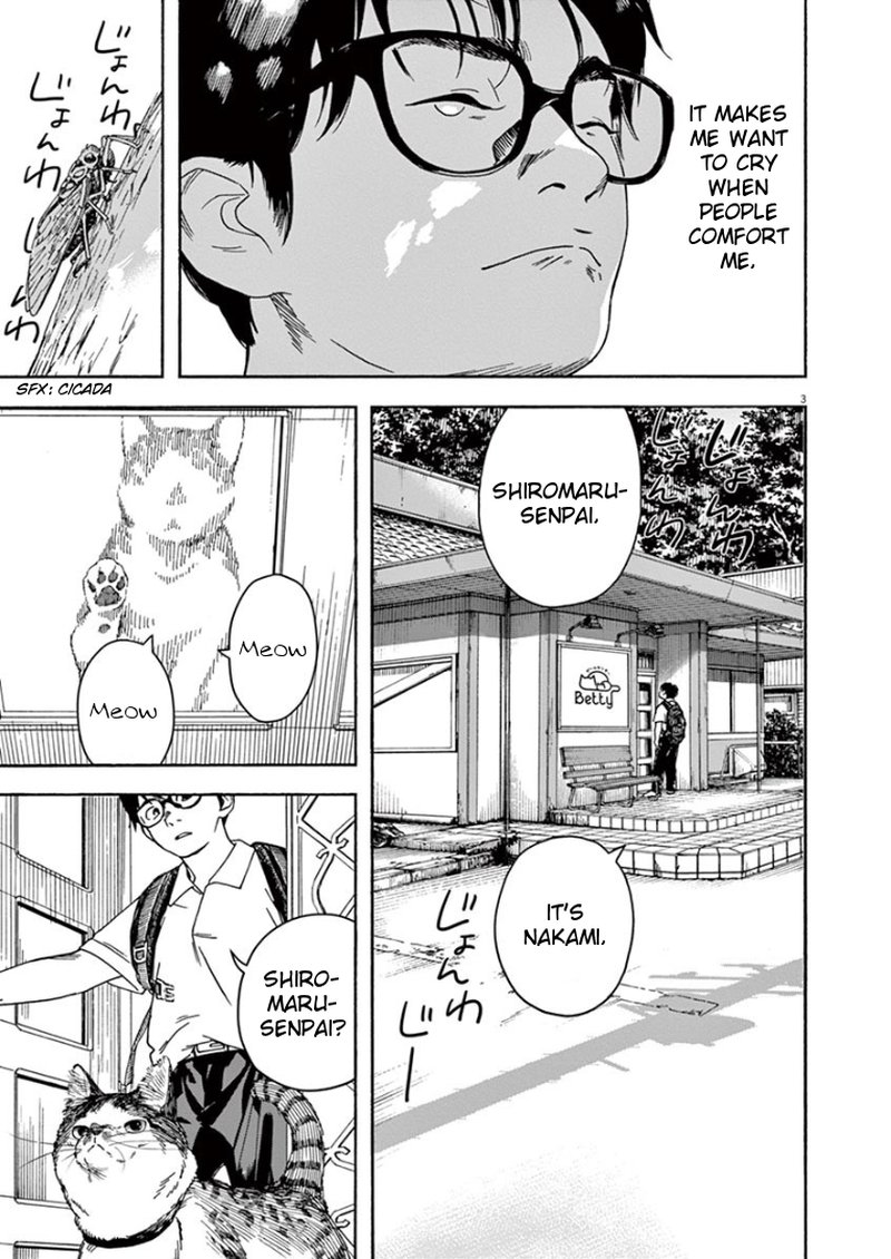 Kimi Wa Houkago Insomnia 31 3