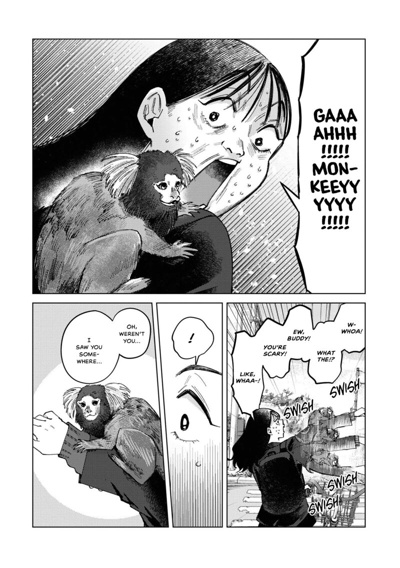 Kirio Fanclub 31 8