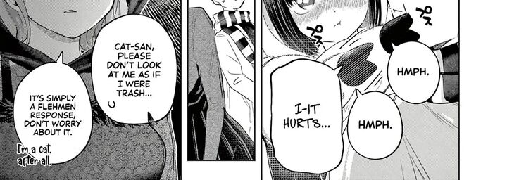 Koibami Shoujo 41 19