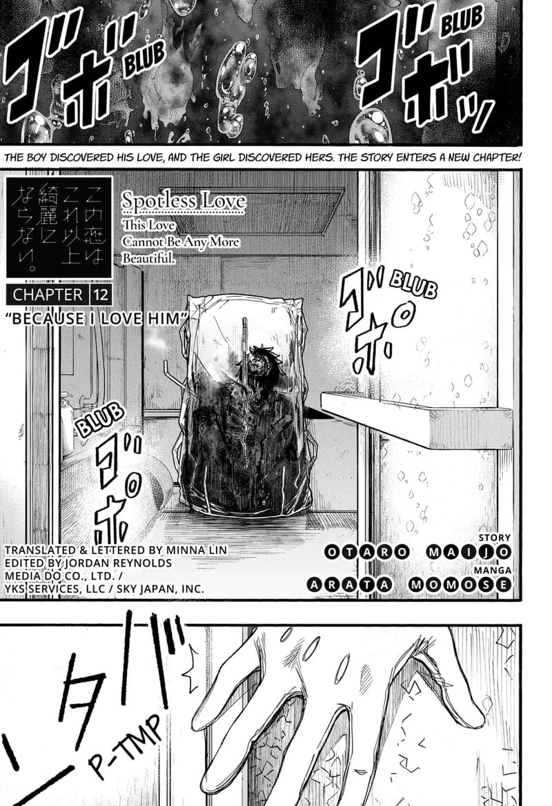 Kono Koi Wa Kore Ijou Kirei Ni Naranai 12 1