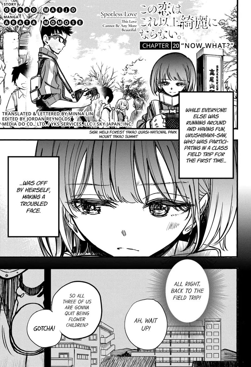 Kono Koi Wa Kore Ijou Kirei Ni Naranai 20 1