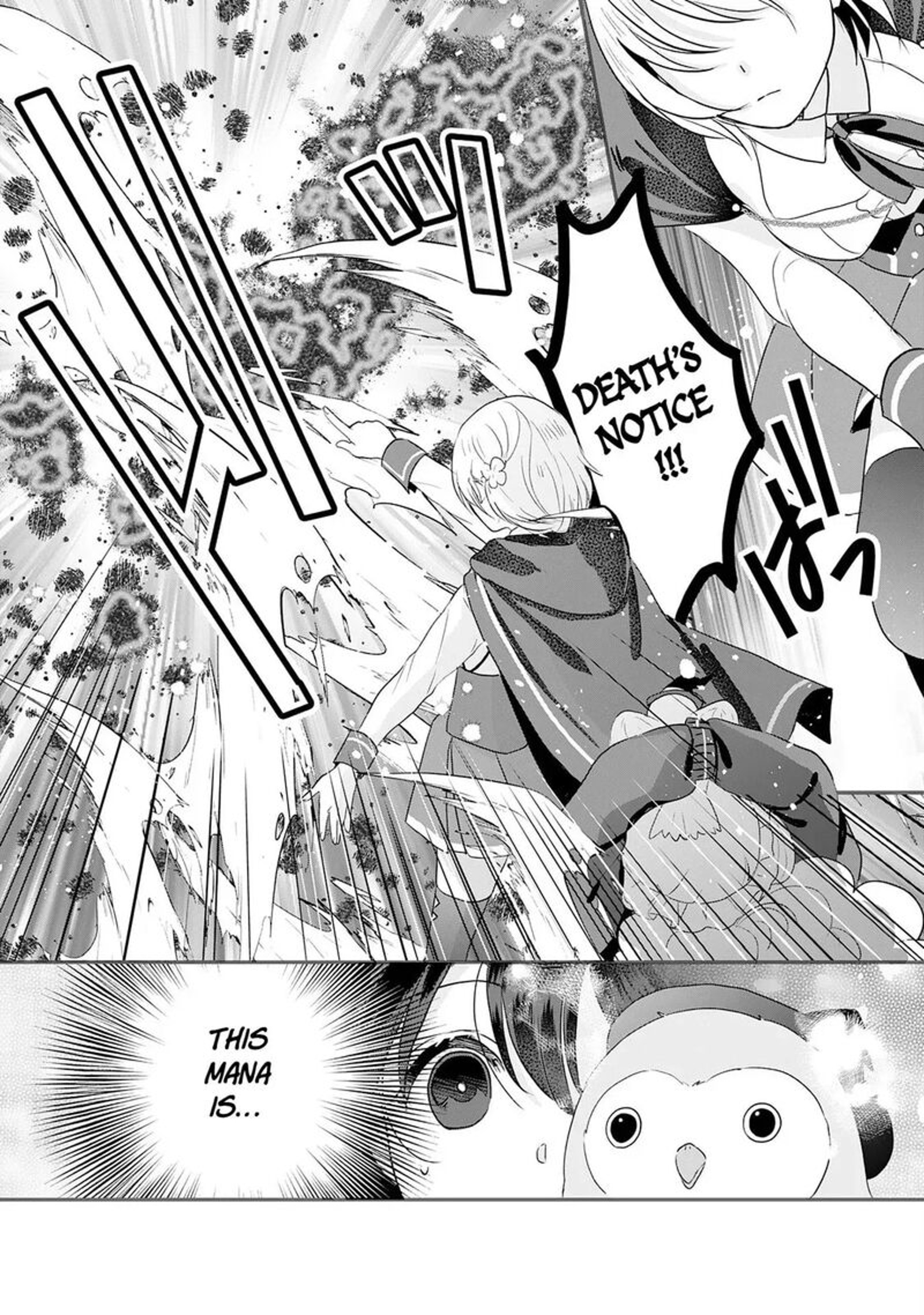 Kounchi 999 No Watashi Sokushi Mahou Ga Zettai Ni Seikou Suru No De Sekai Saikyou Desu 23 14