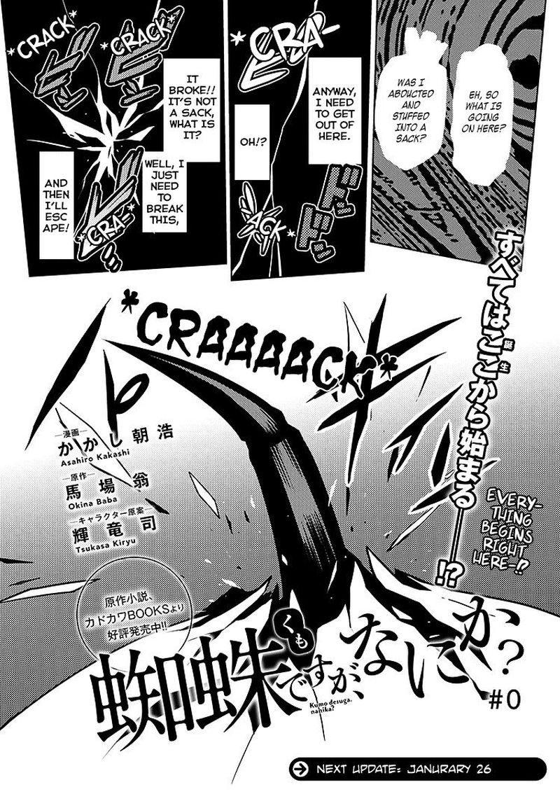 Kumo Desu Ga Nani Ka 0 8