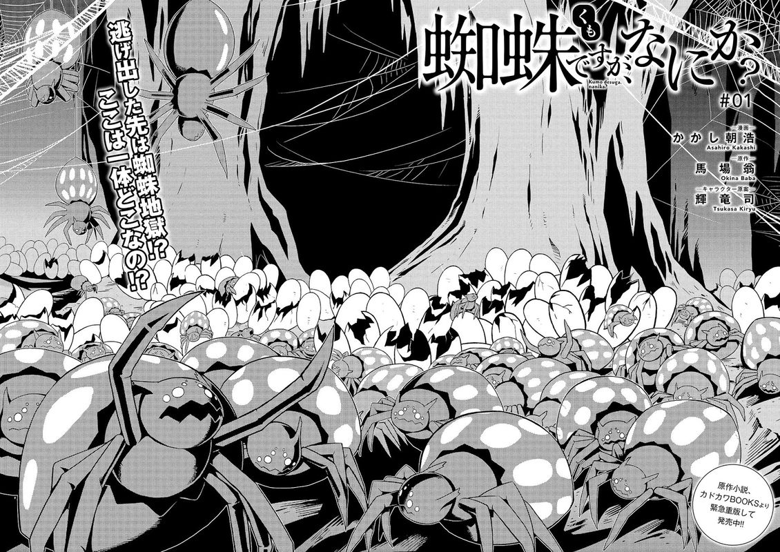 Kumo Desu Ga Nani Ka 1 2