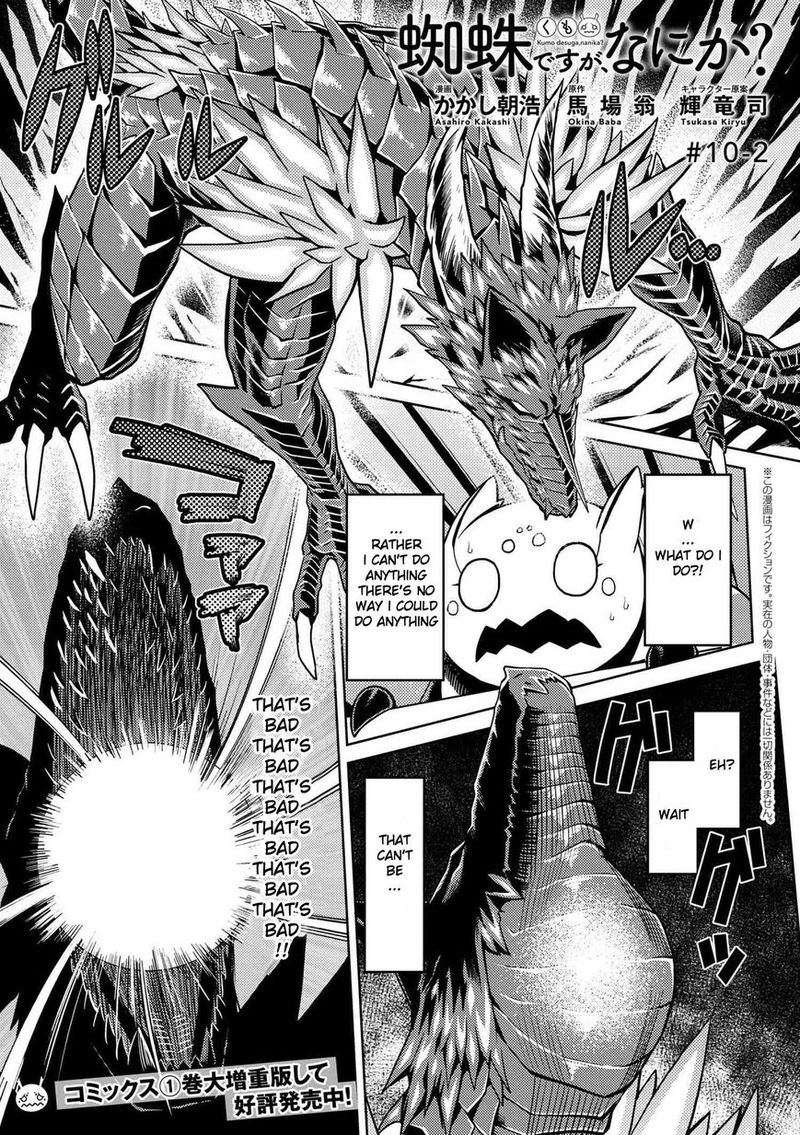 Kumo Desu Ga Nani Ka 10 11