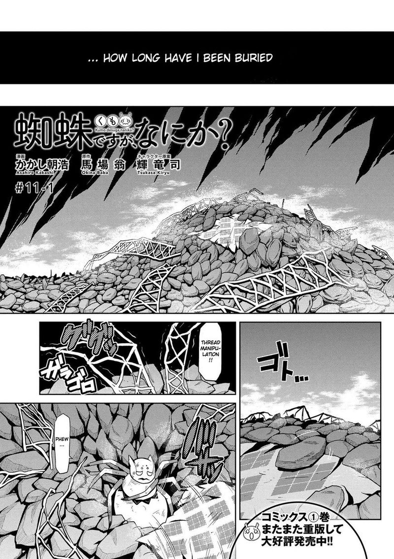 Kumo Desu Ga Nani Ka 11 1