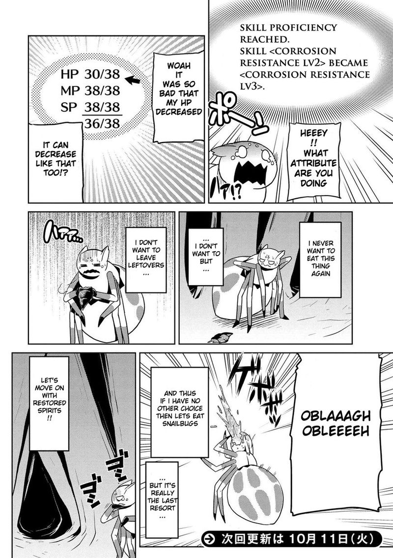 Kumo Desu Ga Nani Ka 11 20