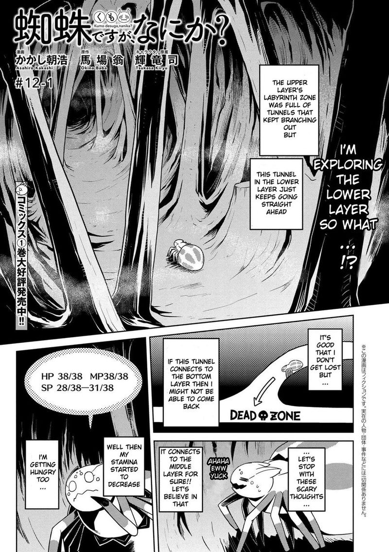 Kumo Desu Ga Nani Ka 12 1