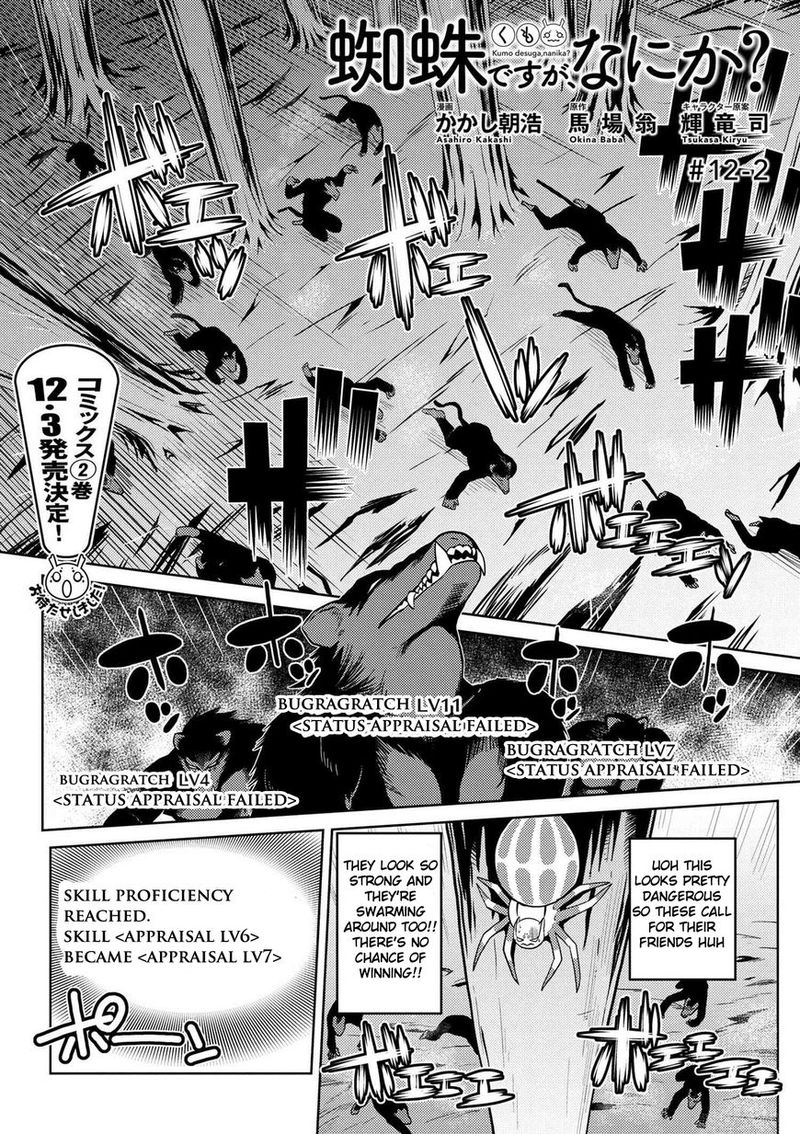 Kumo Desu Ga Nani Ka 12 17