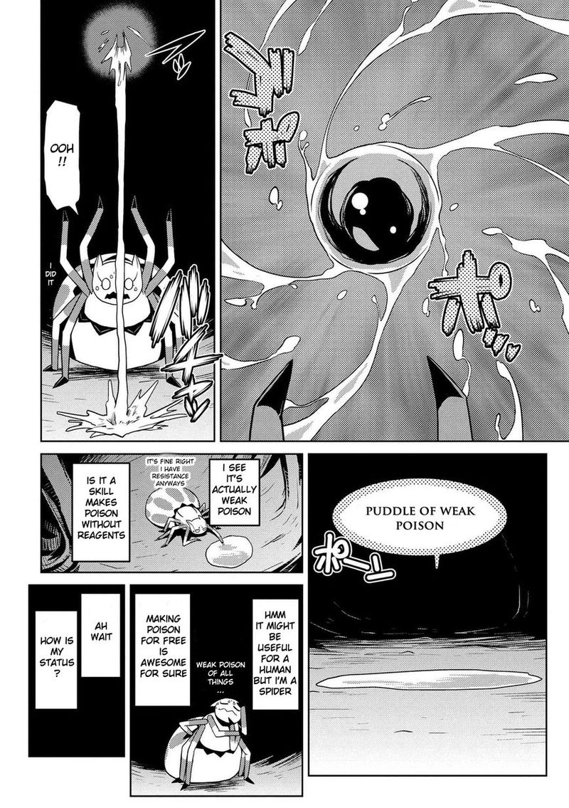 Kumo Desu Ga Nani Ka 12 8