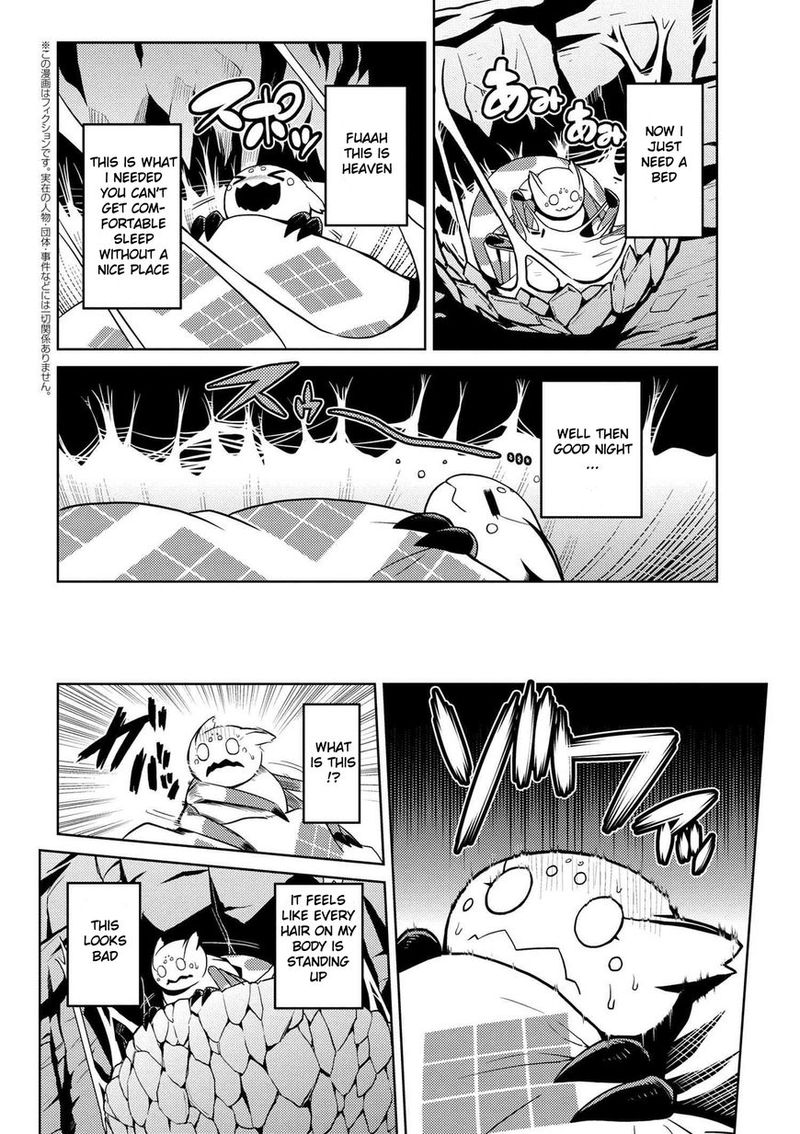 Kumo Desu Ga Nani Ka 13 14