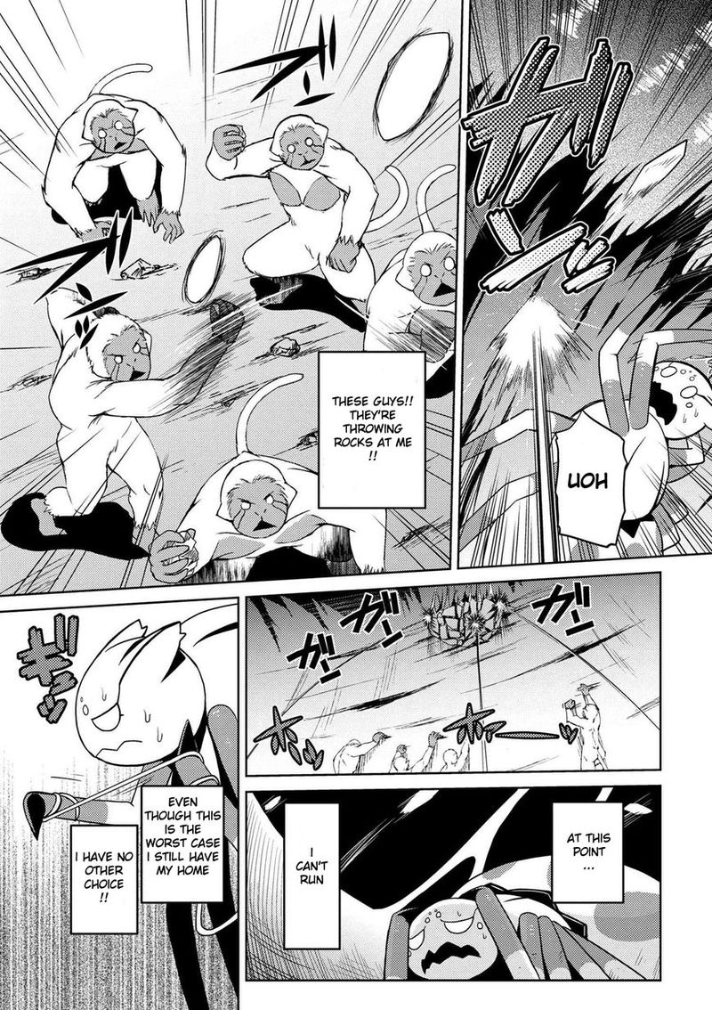 Kumo Desu Ga Nani Ka 13 17