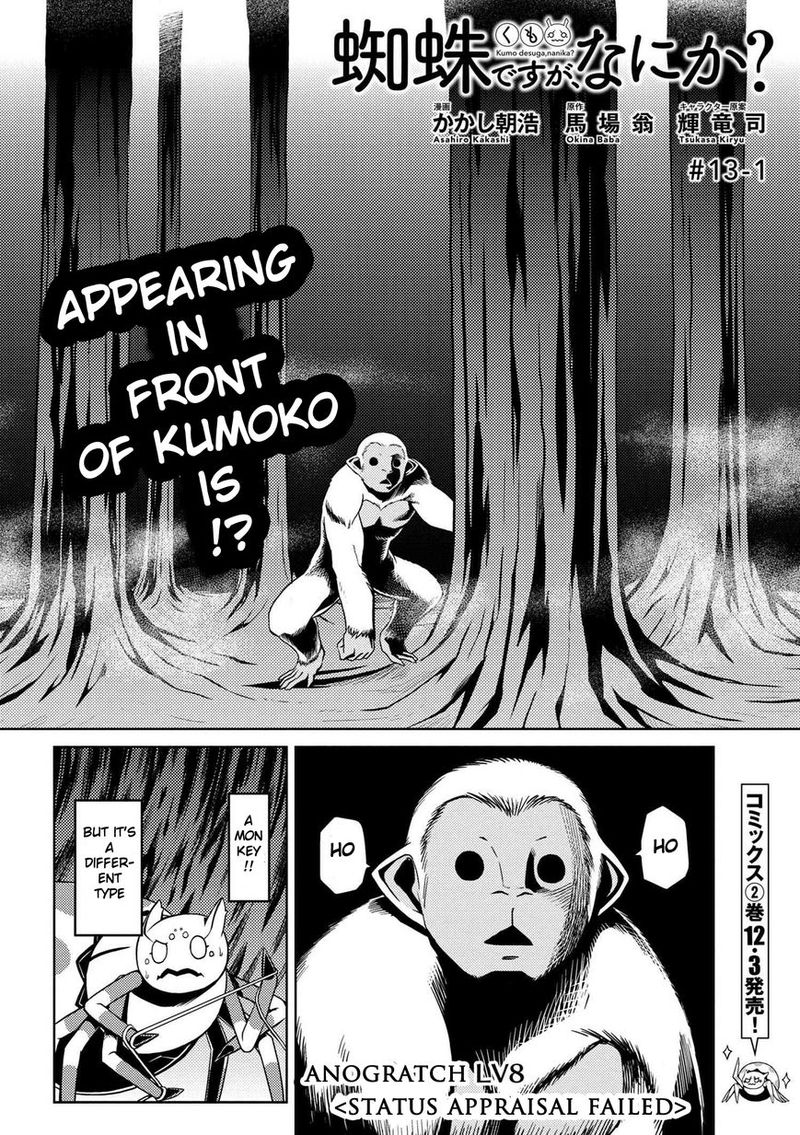 Kumo Desu Ga Nani Ka 13 2