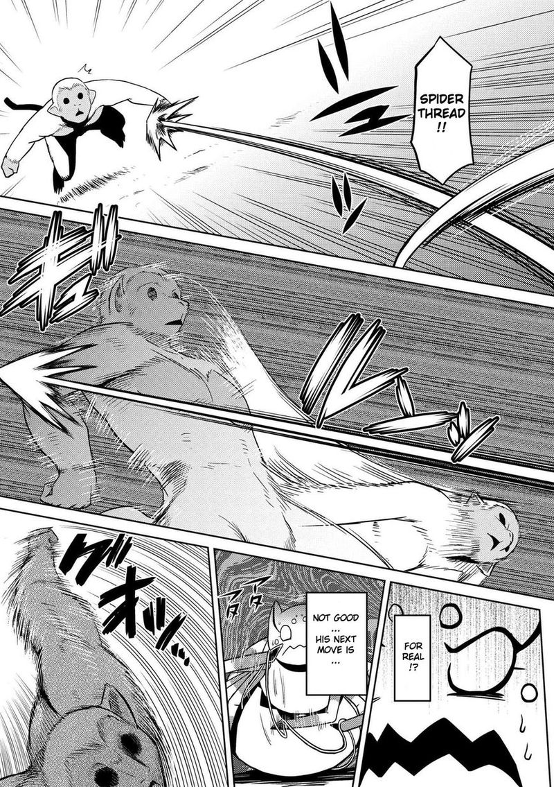 Kumo Desu Ga Nani Ka 13 4