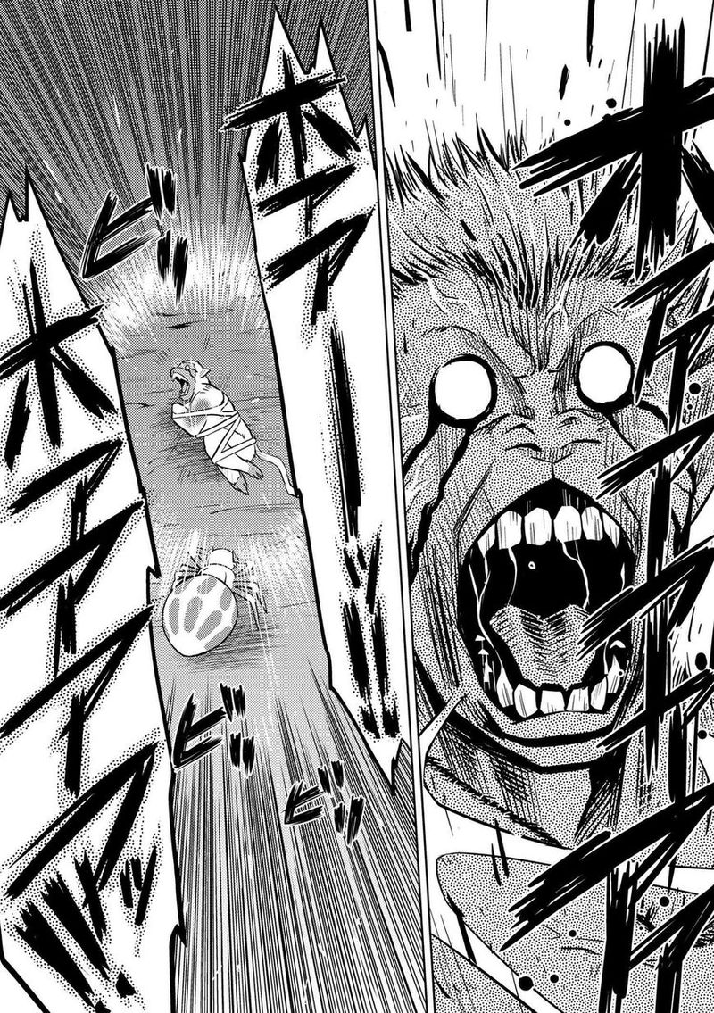 Kumo Desu Ga Nani Ka 13 9