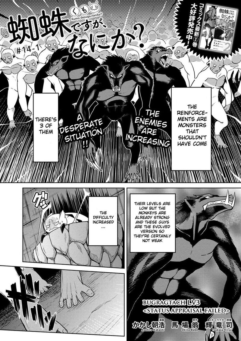 Kumo Desu Ga Nani Ka 14 1