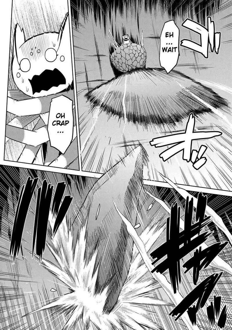 Kumo Desu Ga Nani Ka 14 6
