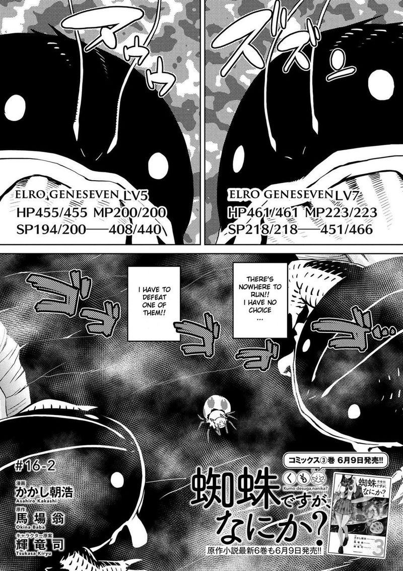 Kumo Desu Ga Nani Ka 16 17