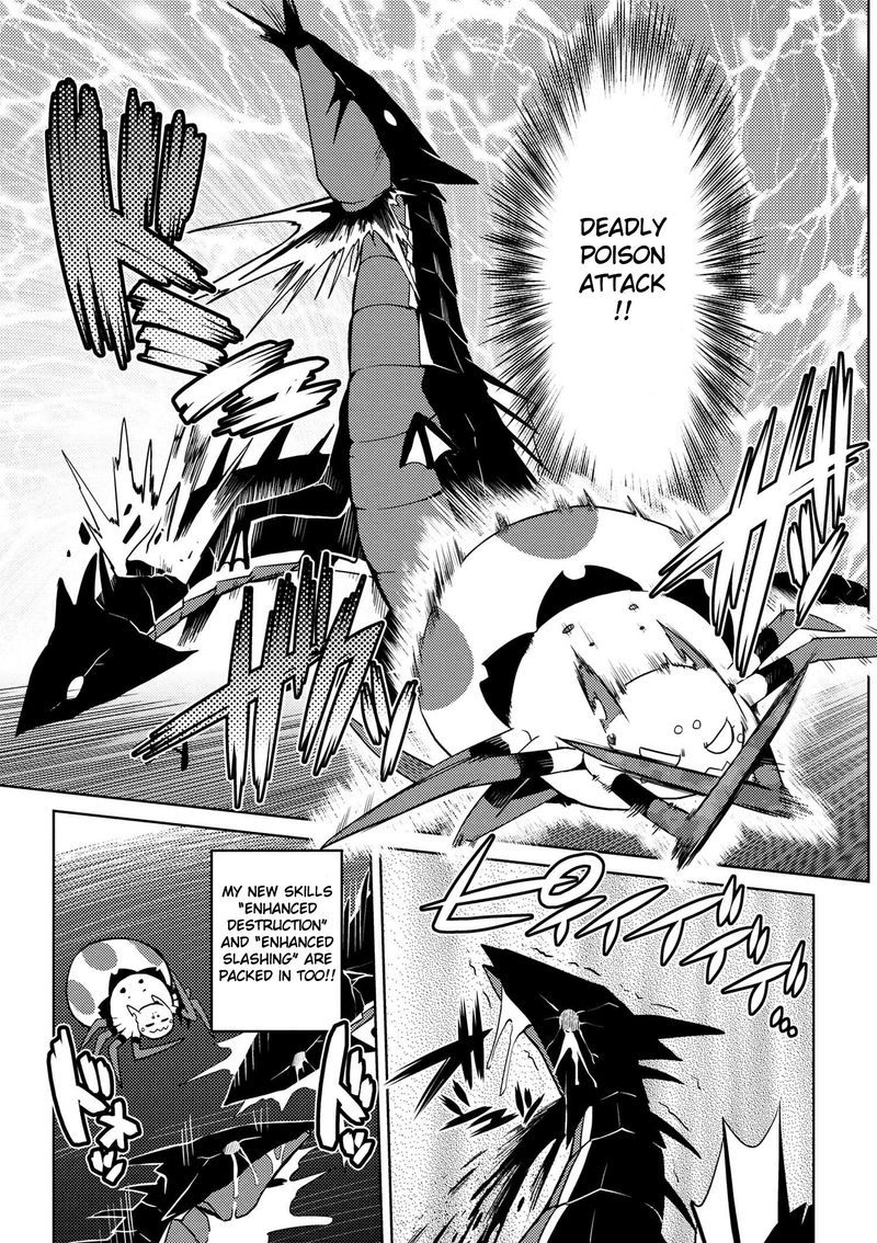 Kumo Desu Ga Nani Ka 16 7