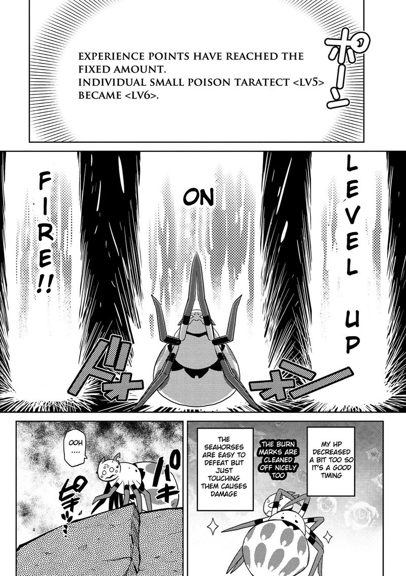 Kumo Desu Ga Nani Ka 16 8