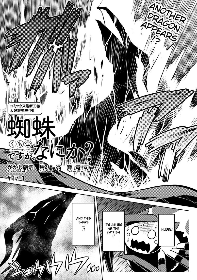 Kumo Desu Ga Nani Ka 17 1