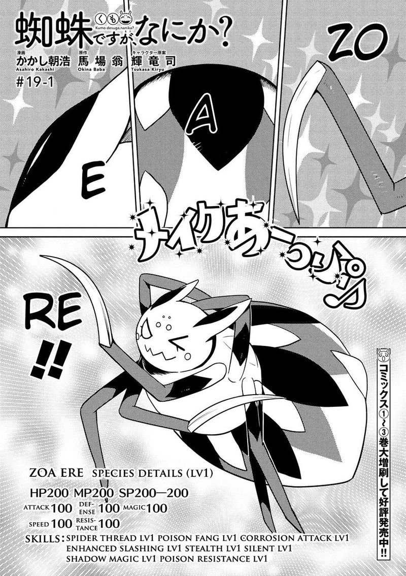 Kumo Desu Ga Nani Ka 19 1