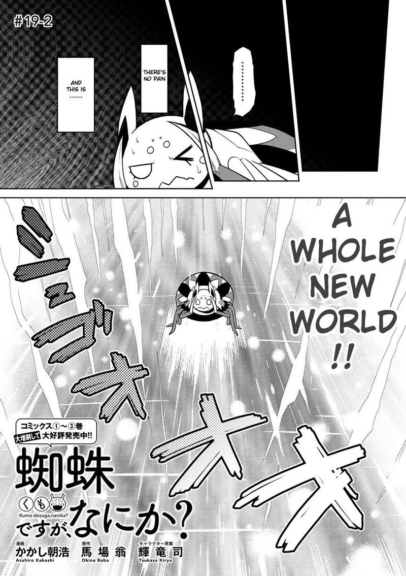 Kumo Desu Ga Nani Ka 19 16