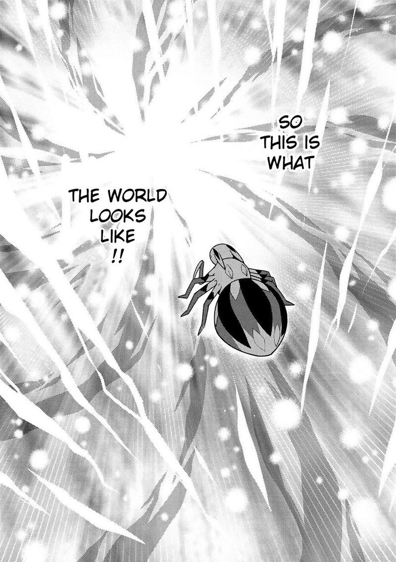 Kumo Desu Ga Nani Ka 19 18