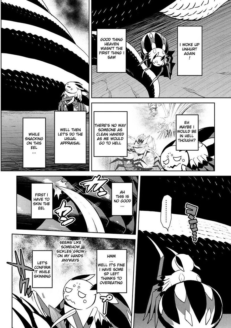 Kumo Desu Ga Nani Ka 19 2