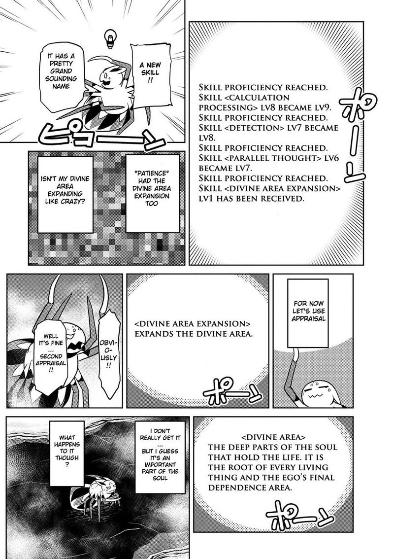 Kumo Desu Ga Nani Ka 19 21