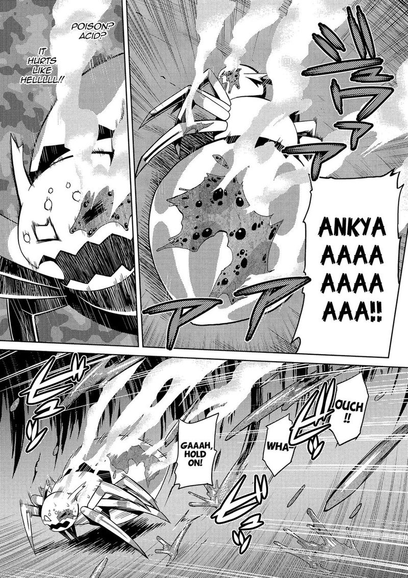 Kumo Desu Ga Nani Ka 2 3