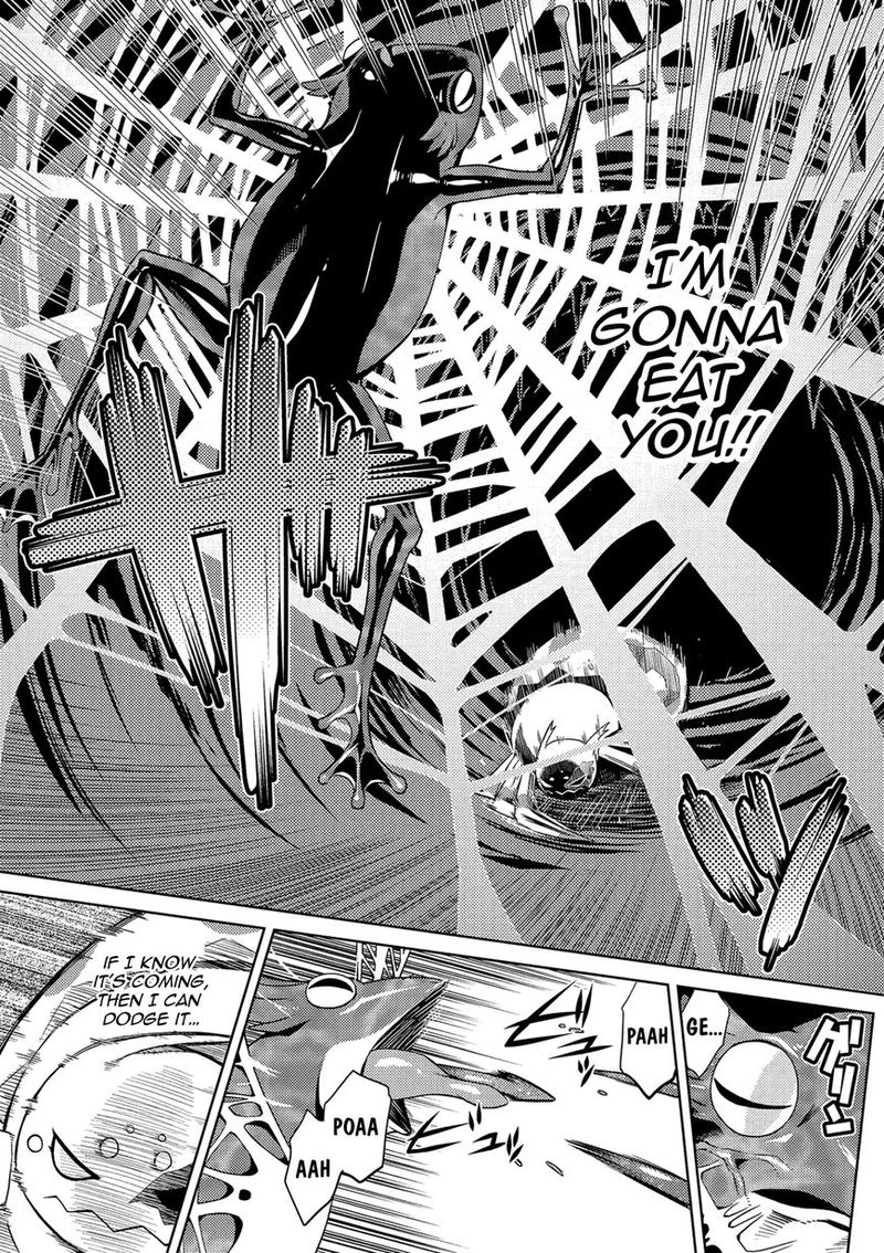 Kumo Desu Ga Nani Ka 2 7
