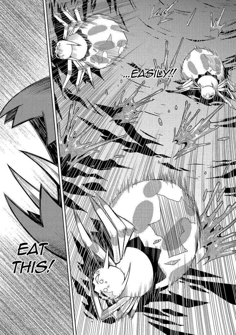 Kumo Desu Ga Nani Ka 2 8