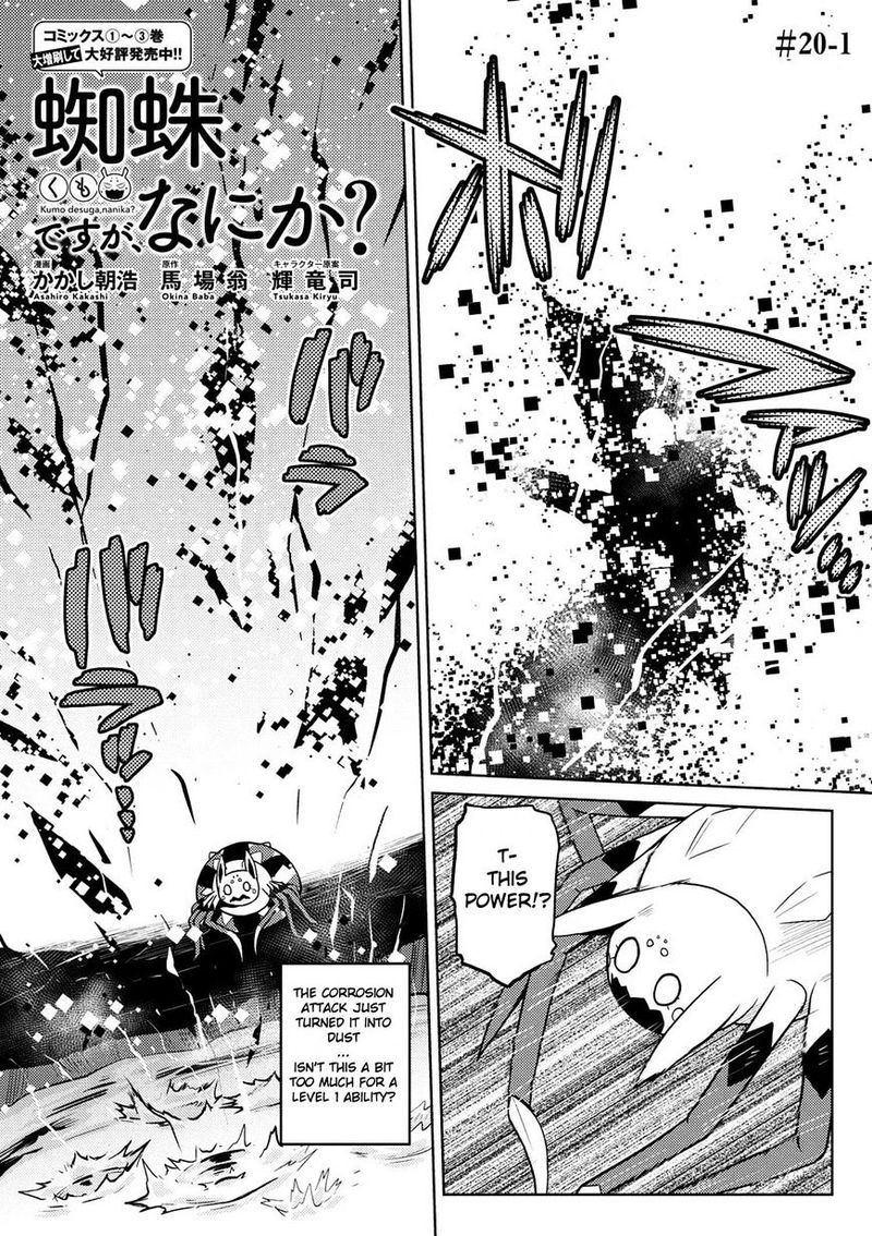 Kumo Desu Ga Nani Ka 20 1