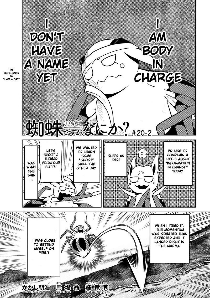 Kumo Desu Ga Nani Ka 20 17