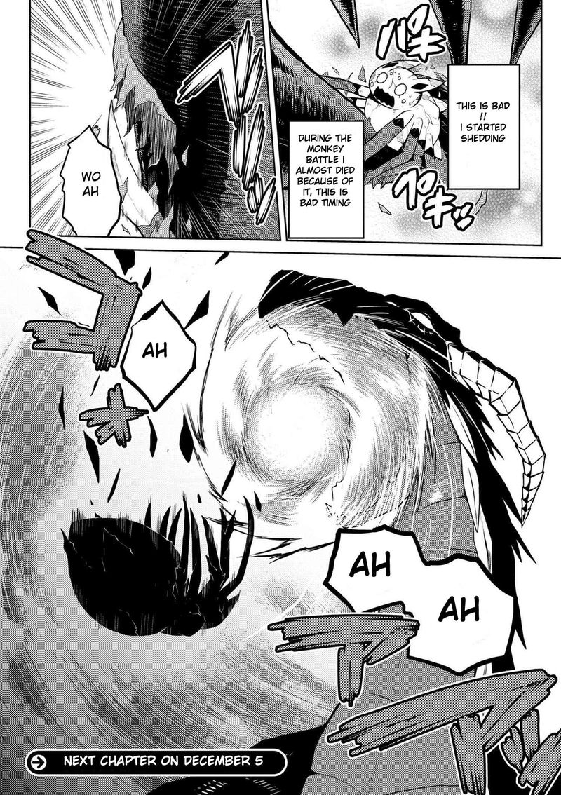 Kumo Desu Ga Nani Ka 22 17