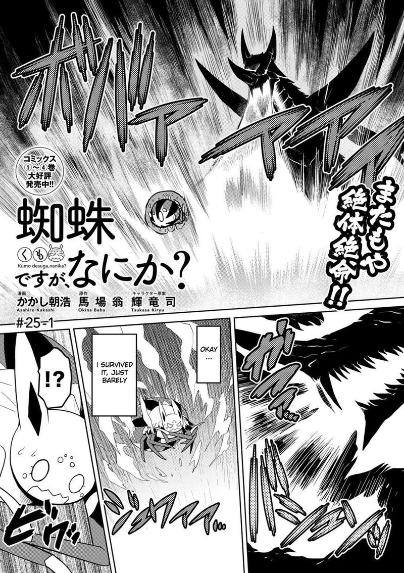 Kumo Desu Ga Nani Ka 25 1