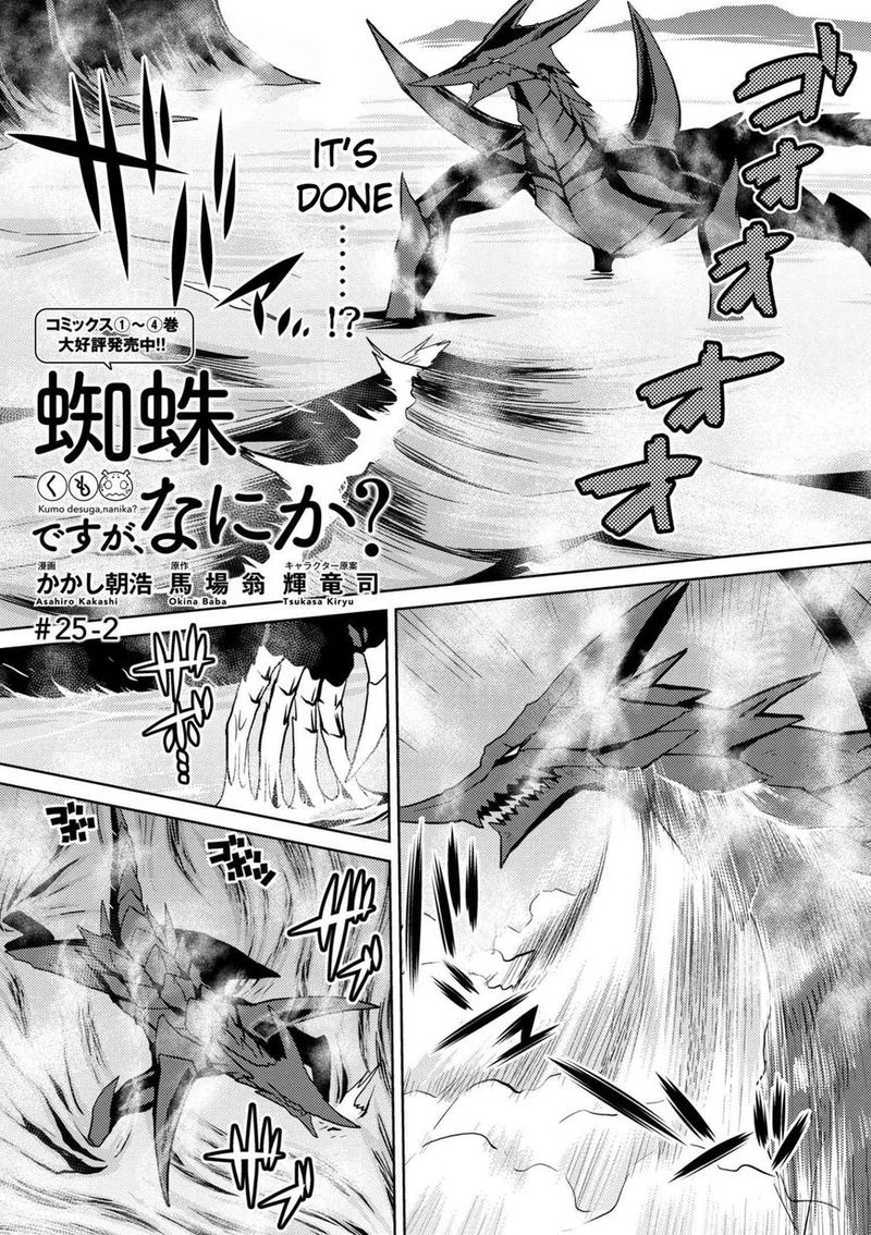 Kumo Desu Ga Nani Ka 25 15