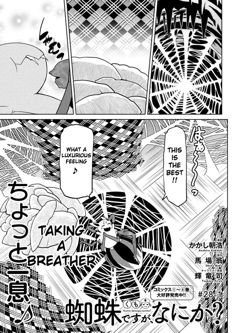 Kumo Desu Ga Nani Ka 28 1