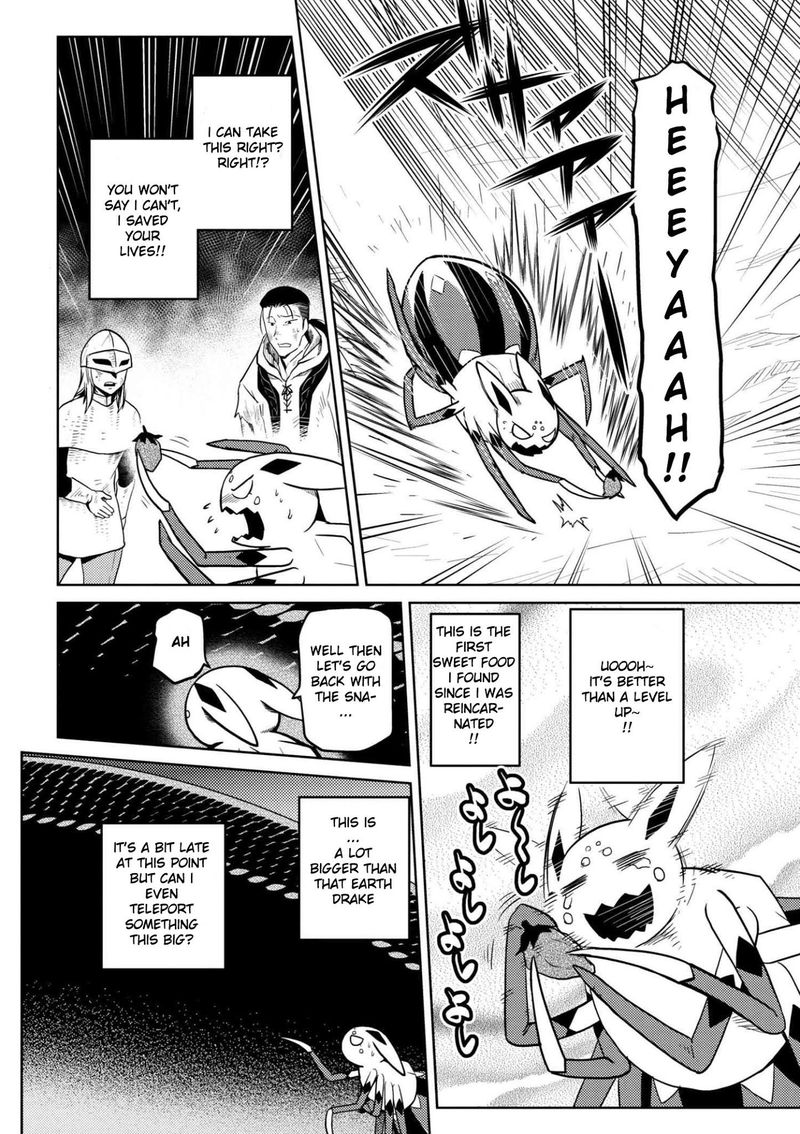 Kumo Desu Ga Nani Ka 29 2