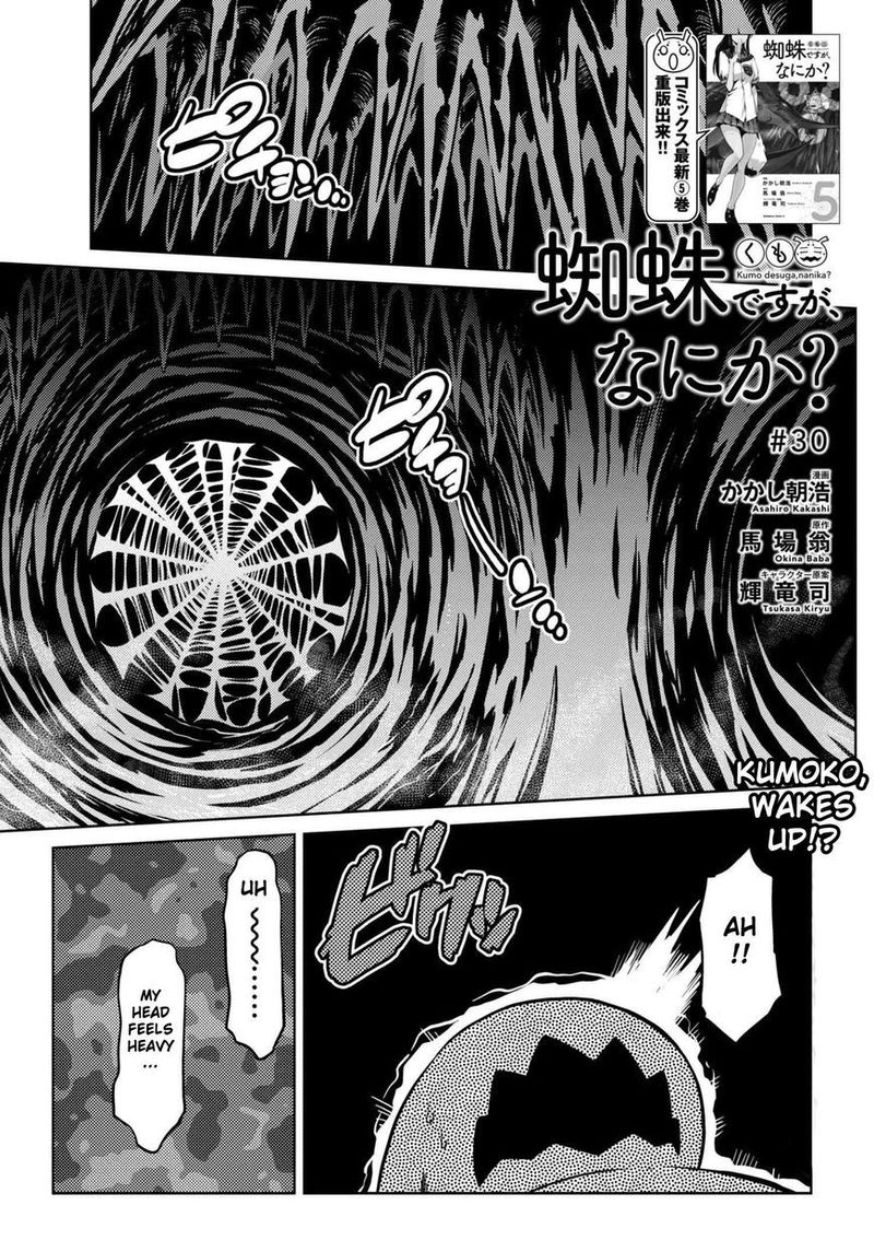 Kumo Desu Ga Nani Ka 30 1