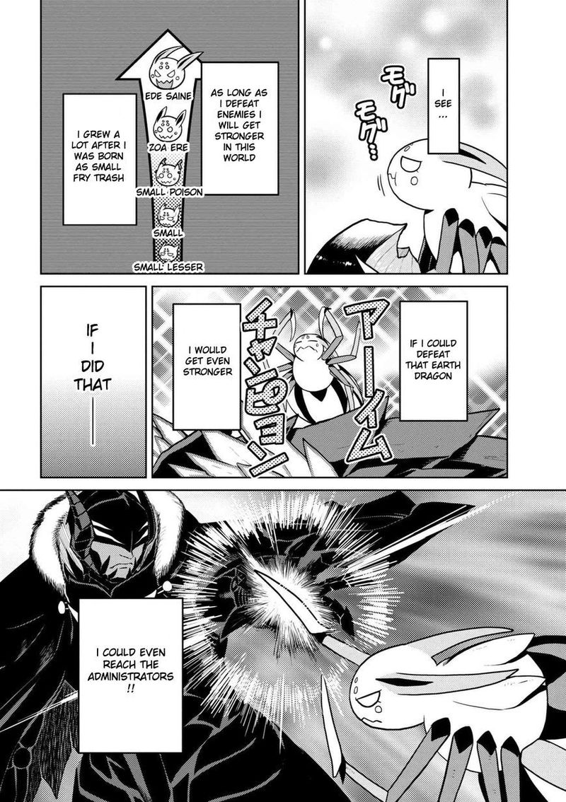Kumo Desu Ga Nani Ka 30 8