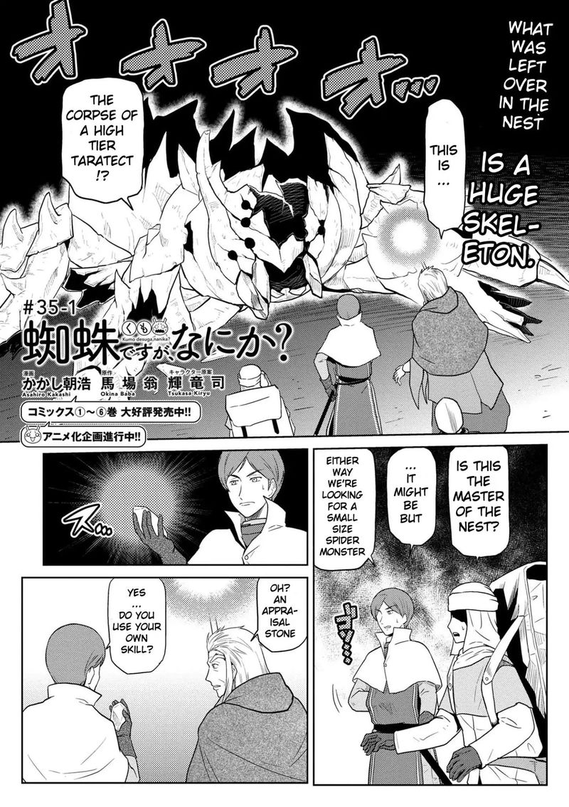 Kumo Desu Ga Nani Ka 35 1